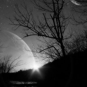 Meet your Posher, Alecia